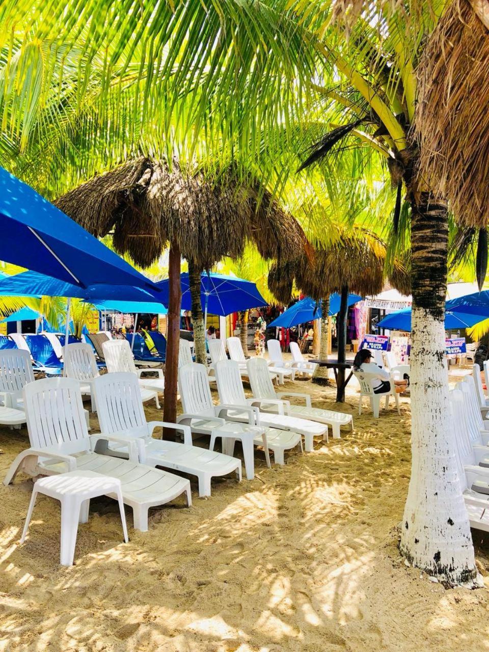 Ocean Beach V.i.p *